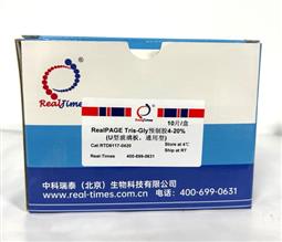 12%RealPAGE Tris-Glycine預(yù)制膠（塑料板） 11孔