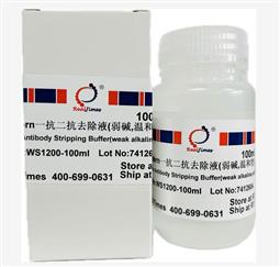 Western一抗二抗去除液（弱堿，溫和型）